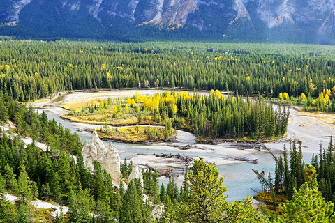 From Banff/Canmore: Guided Day Tour in Banff National ParkPickup from Canmore