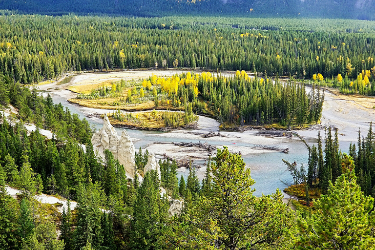 From Banff/Canmore: Guided Day Tour in Banff National ParkDeparture from Banff