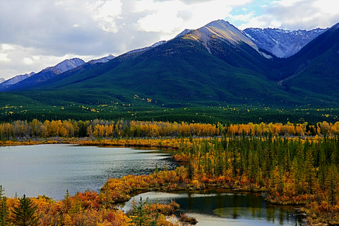 From Banff/Canmore: Guided Day Tour in Banff National ParkDeparture from Banff