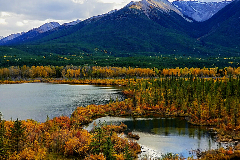 From Banff/Canmore: Guided Day Tour in Banff National ParkPickup from Canmore