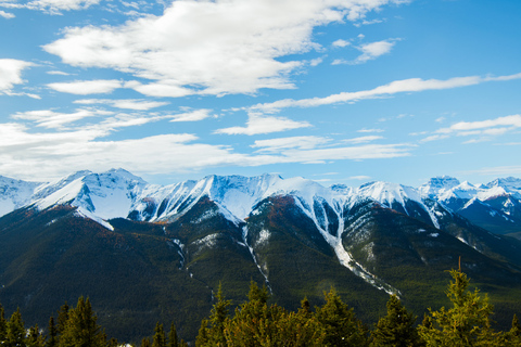 From Banff/Canmore: Guided Day Tour in Banff National ParkDeparture from Banff