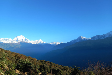 Pokhara : Voyage privé de 3 jours de trekking à Ghorepani Poon Hill