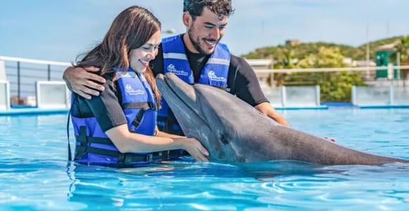 Cabo San Lucas: Dolphin Swim Class with Marine Specialist