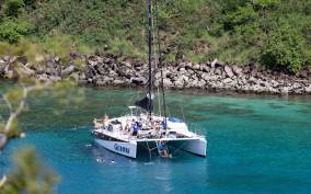 Maui: Snorkeling and Whale Watching Cruise with Buffet Lunch