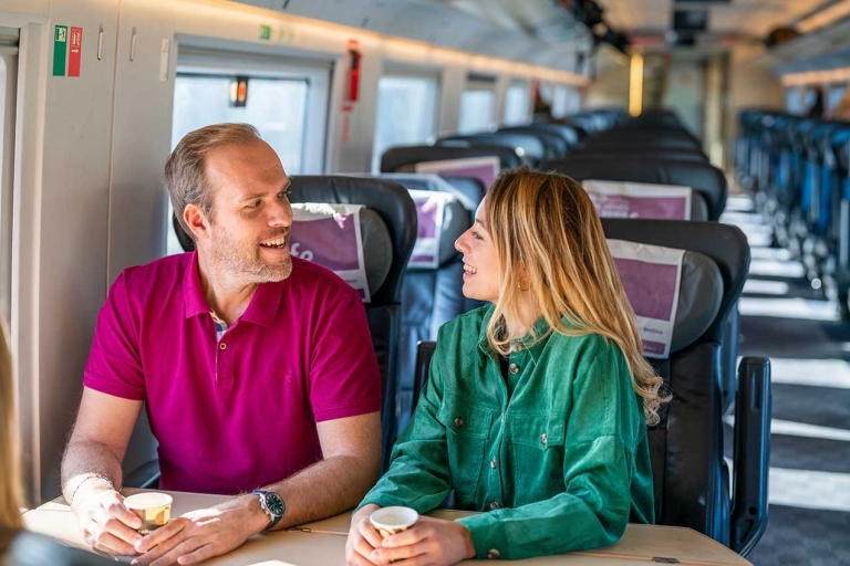 Visita de la ciudad de Girona con su tren de alta velocidad desde BarcelonaOpción Estándar