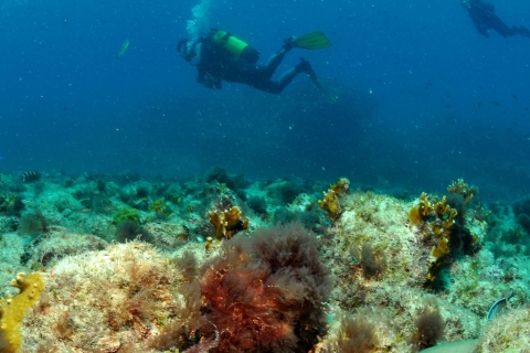 Santa Maria : Forfait de plongée sous-marine avec 3 plongéesSanta Maria : Excursion en bateau de plongée avec 3 arrêts pour les plongeurs certifiés