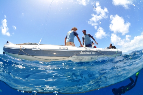 Santa Maria : Forfait de plongée sous-marine avec 3 plongéesSanta Maria : Excursion en bateau de plongée avec 3 arrêts pour les plongeurs certifiés