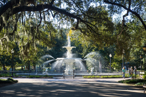 Savannah: „Savannah for Morons” Comedy Trolley Tour