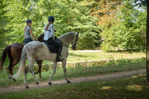 Promenade à cheval Versailles Intimité &amp; ViPCheval Versailles Intimité &amp; Vip