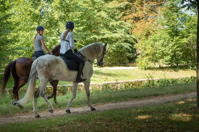 Promenade à cheval Versailles Intimité &amp; ViPCheval Versailles Intimité &amp; Vip