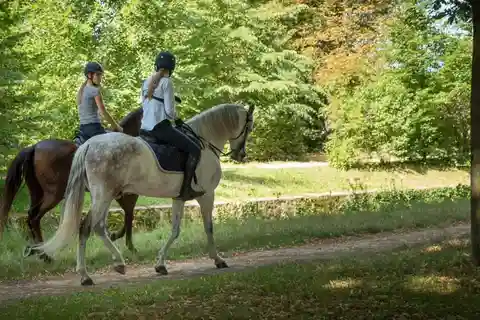 Ridning Versailles Intimitet & ViP