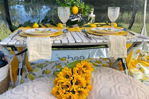 Experience Tranquility with a Picnic at Pedrick Pond Park