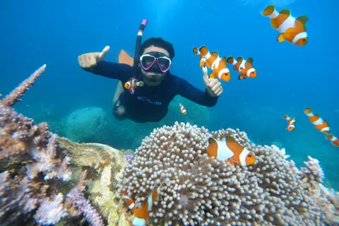 From Jepara: Karimunjawa Archipelago 3-Day Snorkeling Tour