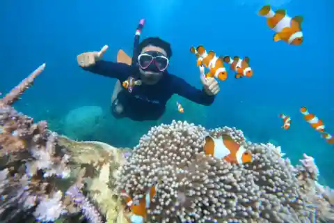 From Jepara: Karimunjawa Archipelago 3-Day Snorkeling Tour