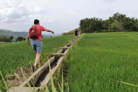 Anda Bohol: Grotte, cascate e terrazzamenti di riso di Cadapdapan