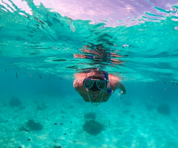 Bohol: Pamilacan Island Dolphin/Turtle Watching Tour & Lunch