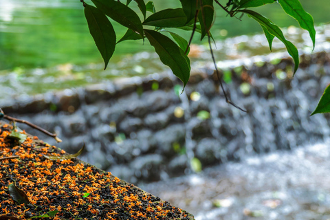 Hangzhou Autumn Exclusive: Manlong Guiyu Hiking Trail