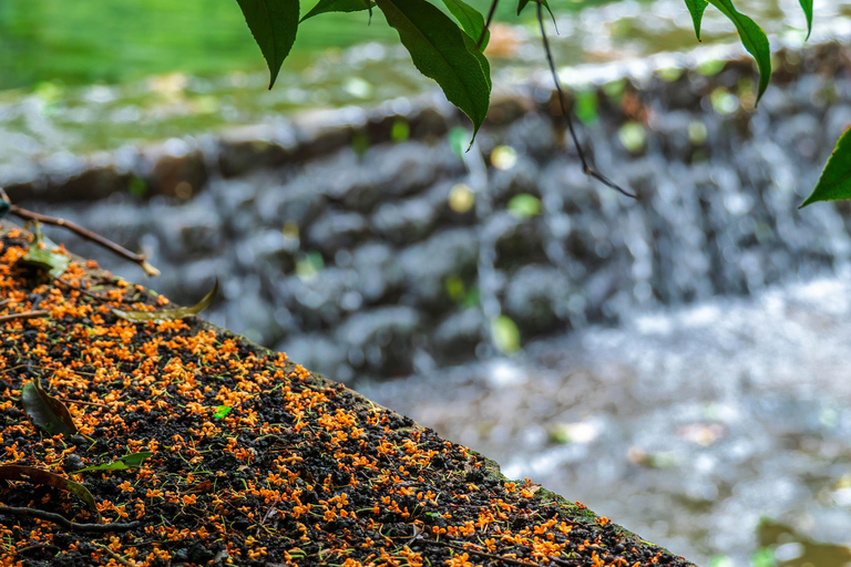 Hangzhou Autumn Exclusive: Manlong Guiyu Hiking Trail
