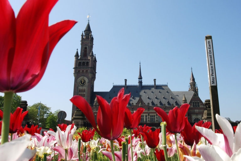 Vanuit Amsterdam: excursie met gids naar Rotterdam, Delft & Den HaagRondleiding in het Spaans