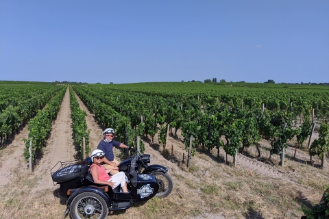2 in 1 - Visit of Bordeaux and excursion in a vineyard 4h30 - Bordeaux and Médoc