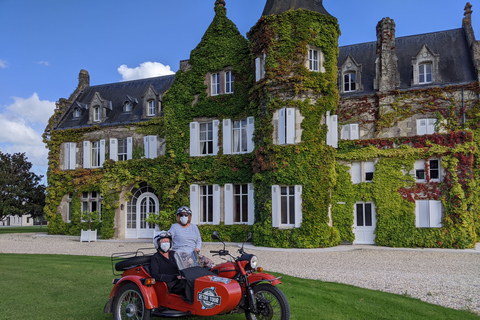 Burdeos: Visita guiada en sidecar con visita a un viñedo y picnic