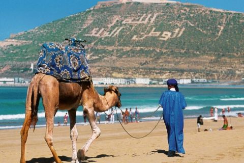 Da Marrakech: gita di un giorno intero ad Agadir