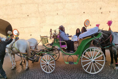 Majorelle Garden &amp; Menara Garden Tour &amp; Carriage RideMarrakech: Majorelle- och Menara-trädgårdarna: rundtur och vagnsresa