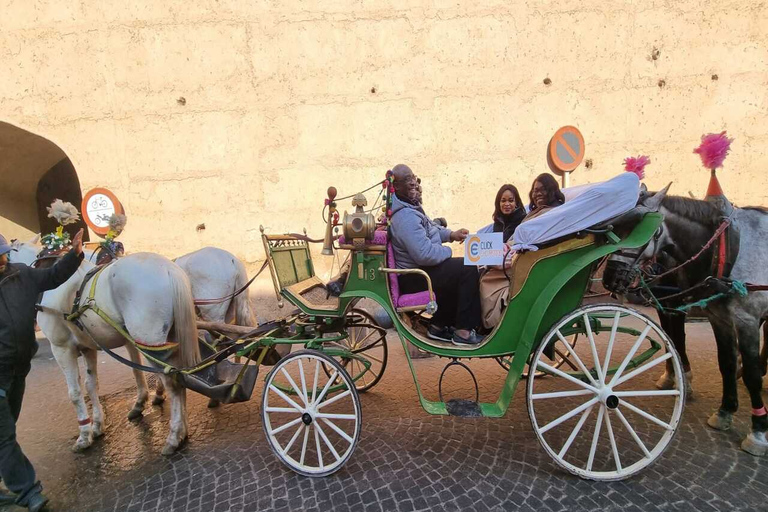 Majorelle Garden &amp; Menara Garden Tour &amp; Carriage RideMarrakech: Majorelle- och Menara-trädgårdarna: rundtur och vagnsresa