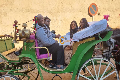 Majorelle Garden &amp; Menara Garden Tour &amp; Carriage RideMarrakech: Majorelle- och Menara-trädgårdarna: rundtur och vagnsresa