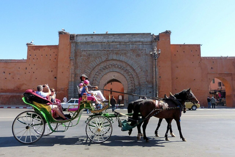 Majorelle Garden &amp; Menara Garden Tour &amp; Carriage RideMarrakech: Majorelle- och Menara-trädgårdarna: rundtur och vagnsresa