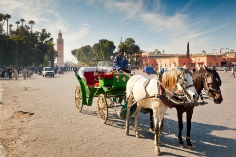 Marrakesz: Majorelle & Menara Gardens Tour & Carriage Ride