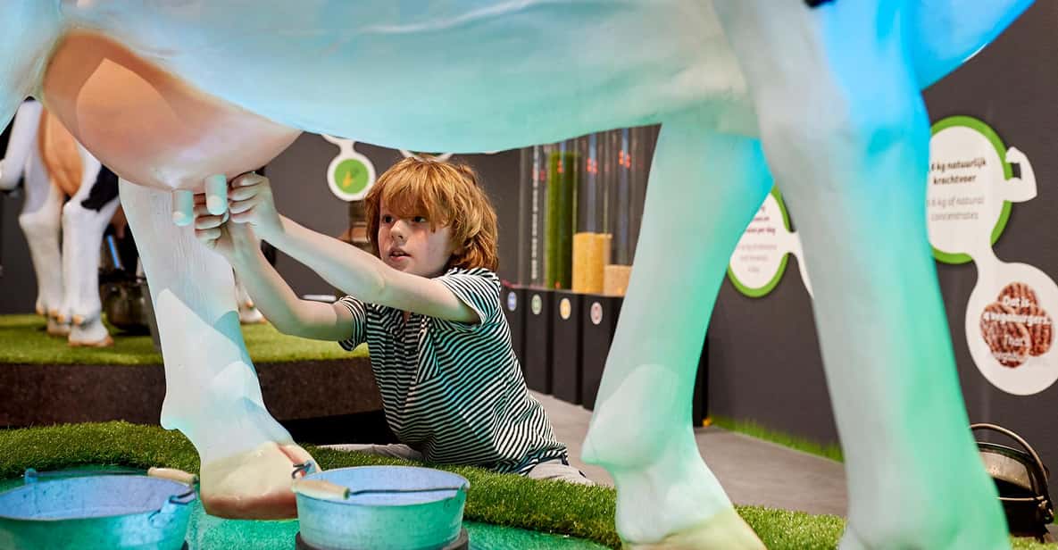 Afbeelding 6 van Gouda: Gouda Cheese Experience toegangsbewijs