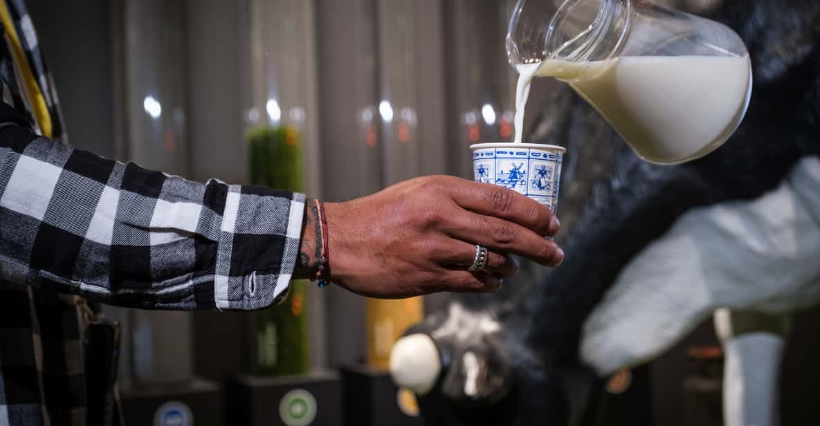 Afbeelding 3 van Gouda: Gouda Cheese Experience toegangsbewijs