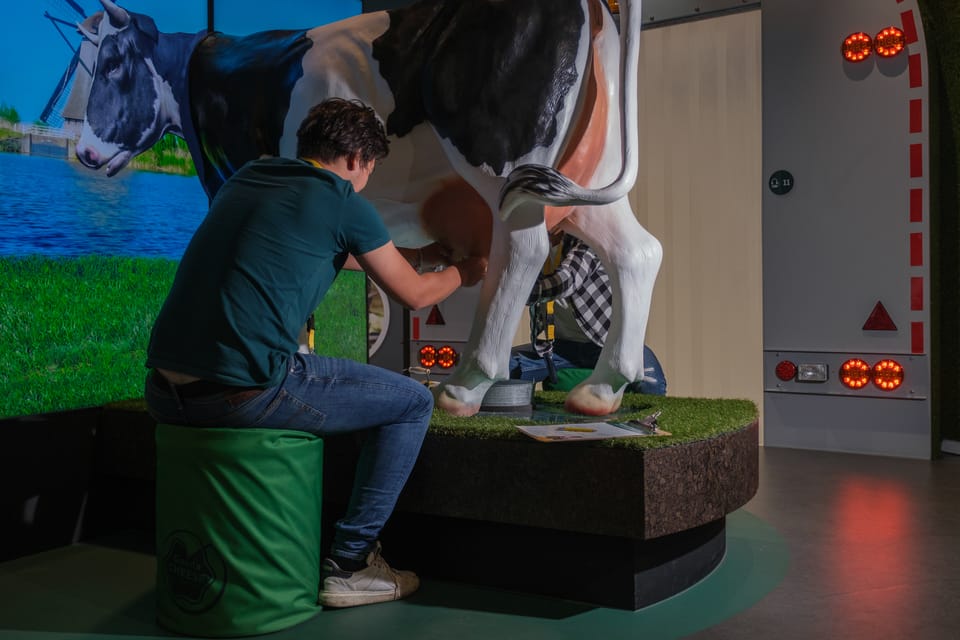 Gouda Gouda Cheese Experience Entry Ticket GetYourGuide