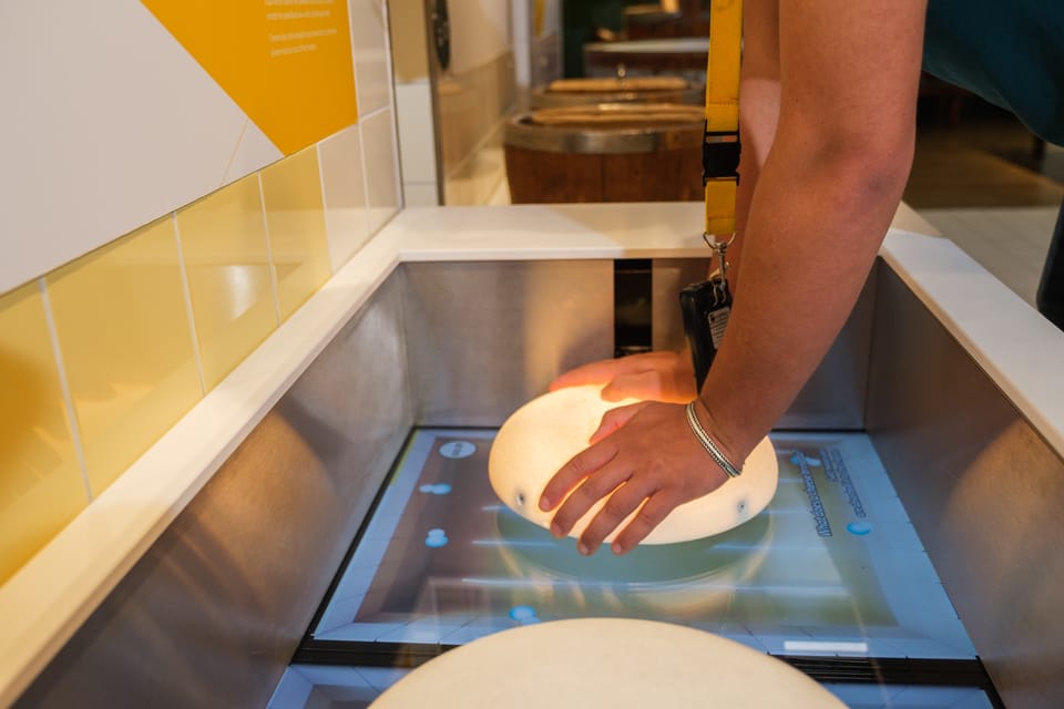 Gouda Gouda Cheese Experience Entry Ticket GetYourGuide