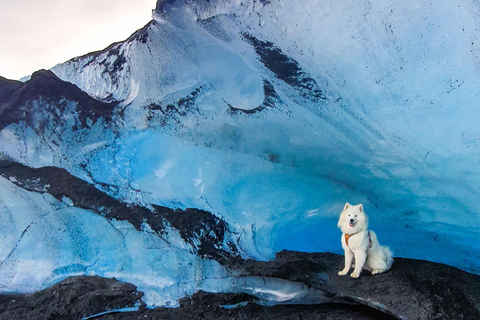 Reykjavík : forfait randonnée et escalade d’un glacierRandonnée et escalade du glacier sans transport