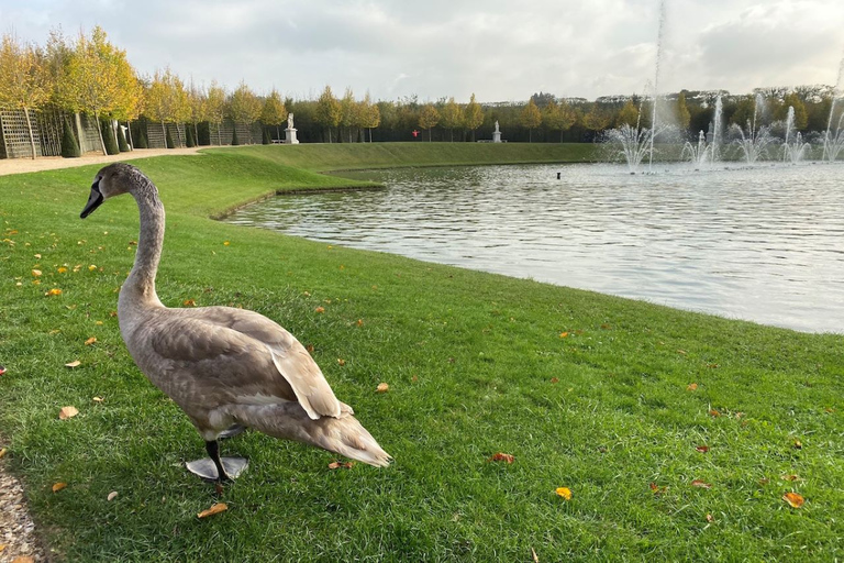 Versailles: Royal Palace & Gardens Private Golf Cart Tour