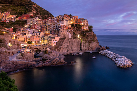 Van La Spezia: Excursie naar de kust van Pisa en Cinque TerrePisa en Manarola-tour