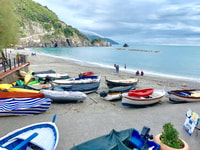 Da La Spezia, escursione a terra a Cinque Terre in treno - Housity