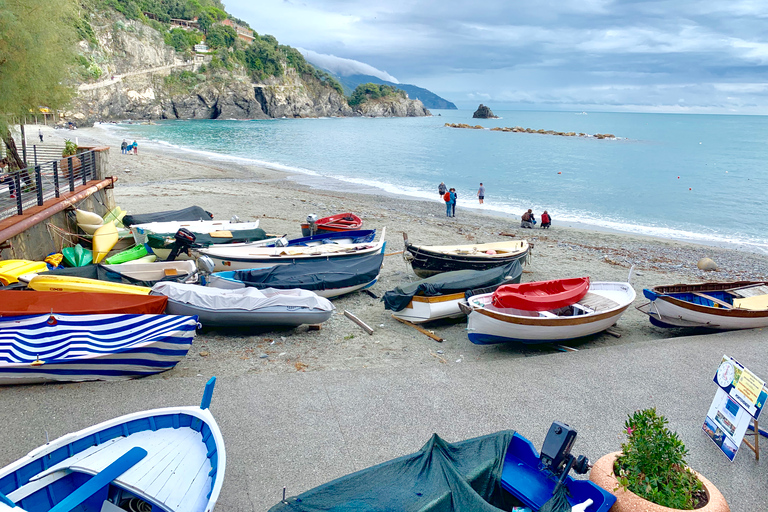 From Livorno: Day Trip to Pisa and Cinque Terre&#039;s Manarola