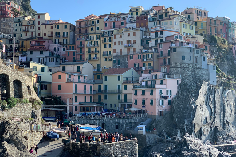 From Livorno: Day Trip to Pisa and Cinque Terre&#039;s Manarola