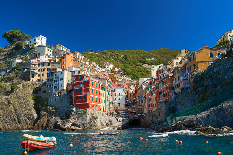 From Livorno: Day Trip to Pisa and Cinque Terre&#039;s Manarola