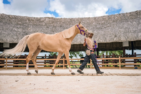 Punta Cana: Xploration Animal Park Bus Tour with Encounters Punta Cana: Xploration Animal Encounters