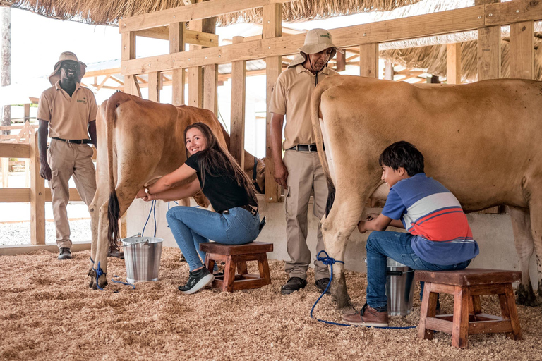 Punta Cana: Xploration Animal Park Bus Tour with Encounters Punta Cana: Xploration Animal Encounters