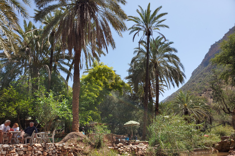 Agadir: Tagesausflug zu Sanddünen und Paradise Valley mit MittagessenAbreise von Taghazout