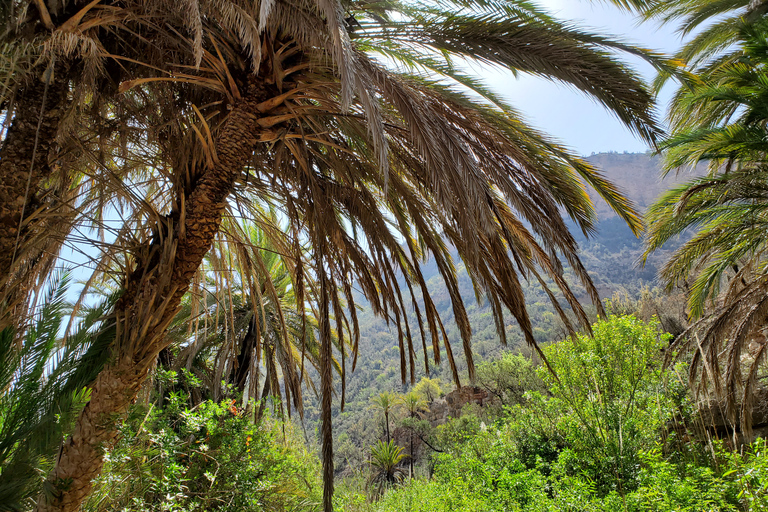 Agadir: excursion d'une journée dans les dunes de sable et la vallée du paradis avec déjeunerDépart de Taghazout