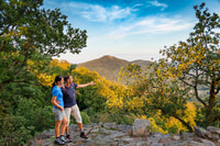 Baden-Baden, Wanderung mit dem Schwarzwald-Guide - Housity