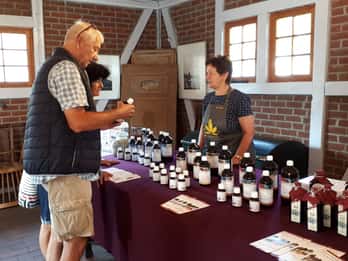 Stralsund: Factory Tour with Fermented and Organic Tastings