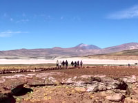 San Pedro de Atacama, Red Rocks e Altiplano Lagoons Day Trip - Housity