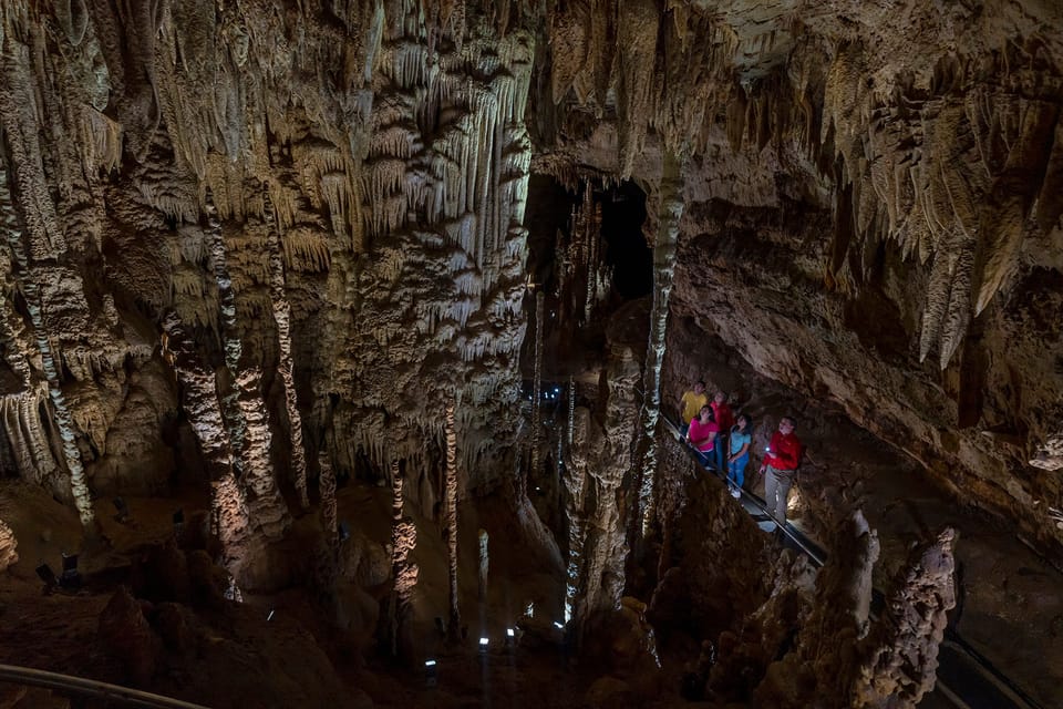 San Antonio: Discovery Tour at Natural Bridge Caverns | GetYourGuide